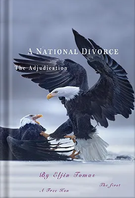 A-National-Divorce-2021 by Platoon Publishing Group